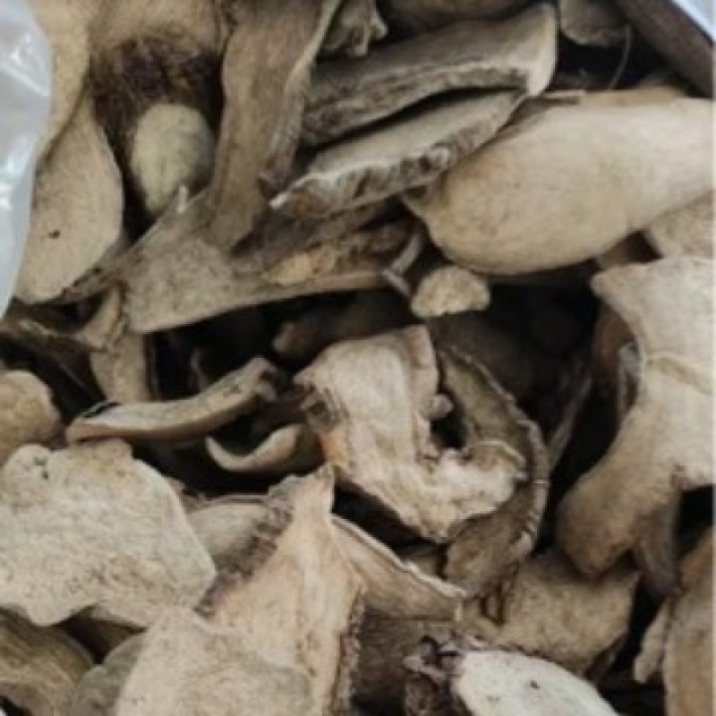 批发地老鼠中药材紫茉莉根紫茉莉根