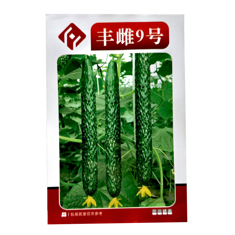 丰雌9号黄瓜种子瓜把短肉厚瓜条顺直甜脆好吃大田种植