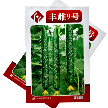 丰雌9号黄瓜种子瓜把短肉厚瓜条顺直甜脆好吃大田种植
