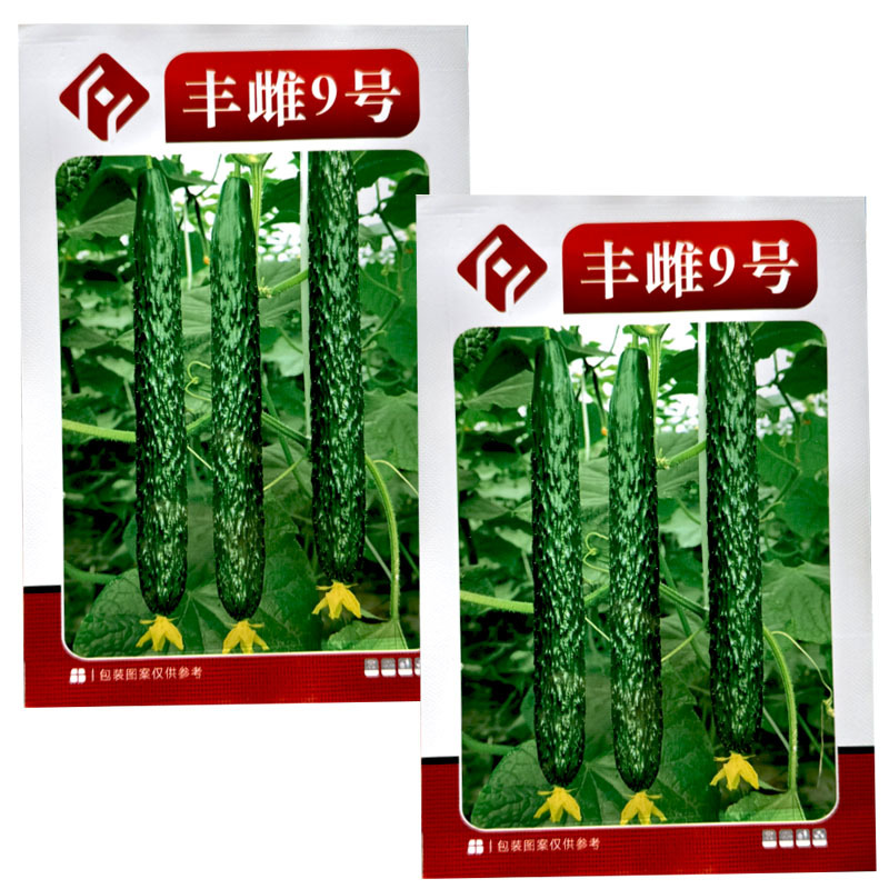 丰雌9号黄瓜种子瓜把短肉厚瓜条顺直甜脆好吃大田种植