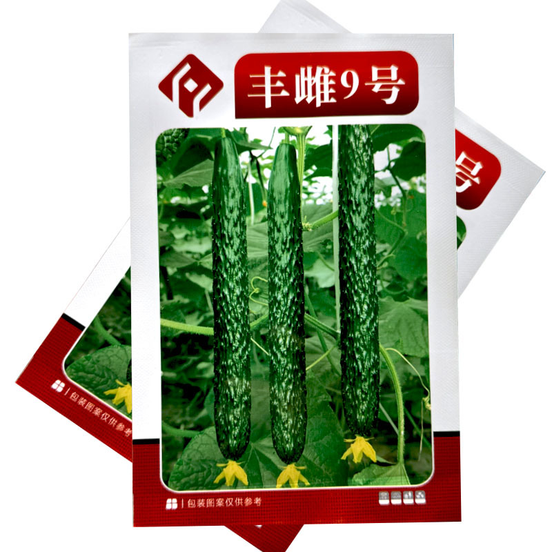 丰雌9号黄瓜种子瓜把短肉厚瓜条顺直甜脆好吃大田种植