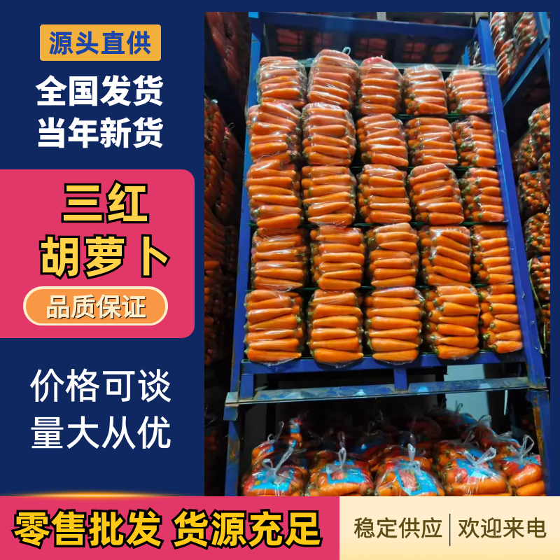三红胡萝卜河南胡萝卜水洗加工货源充足质量保证全国发