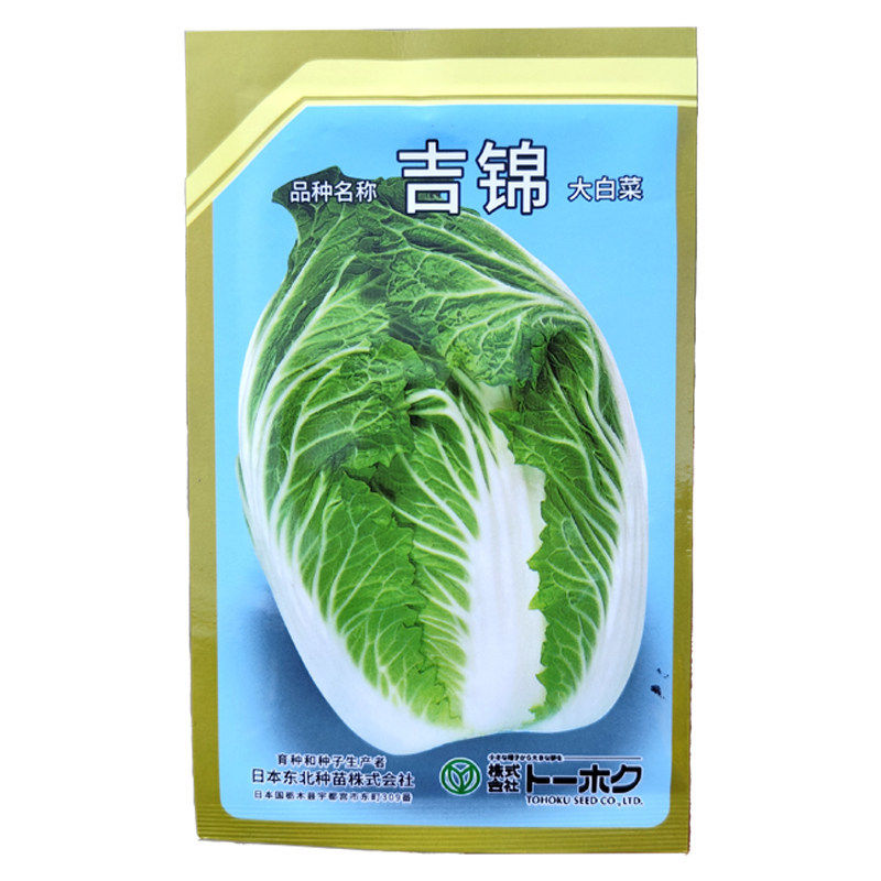 吉锦春大白菜种子10g早熟耐低温耐抽薹春白菜种子高产