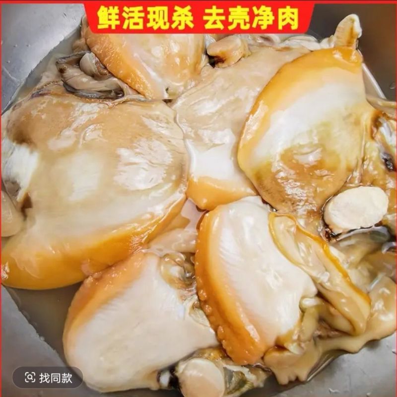 湖北黄冈淡水大河蚌去壳净肉斧足肉裙边肉冷冻批量发货