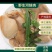湖北黄冈淡水大河蚌去壳净肉斧足肉裙边肉冷冻批量发货