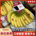 本公司常年大量供应：菲律宾，越南，柬埔寨，印尼，南美香蕉