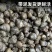 湖北黄冈新鲜石螺现捞现发钓鱼打窝专用品质上乘