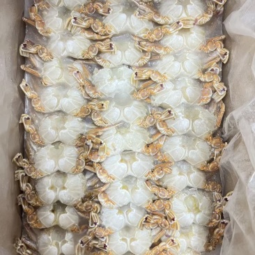 板冻蟹排1.75kg*2厂家直销