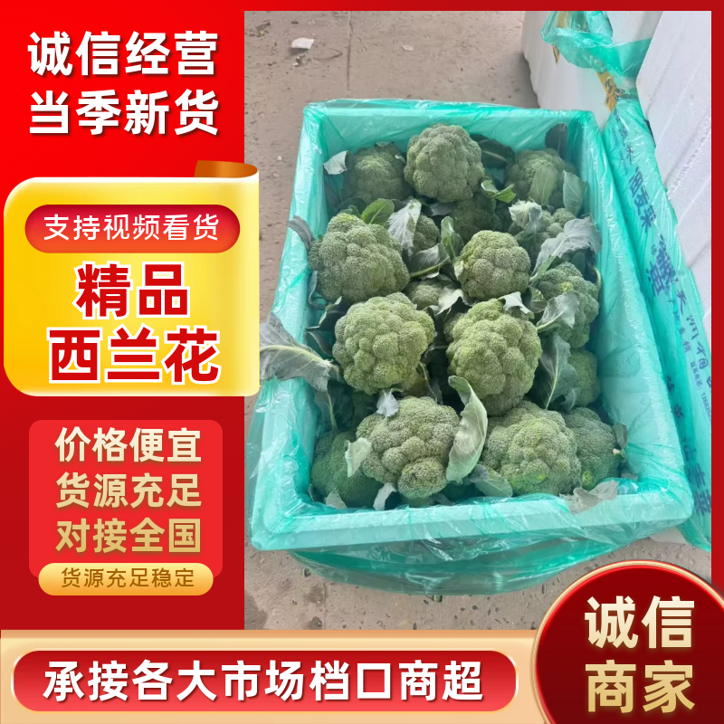 【优质推荐】西兰花湖北新鲜耐寒西蓝花量大质优支持视频看货