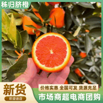 【产地直发】中华红橙果园直发货源稳定供应电商市场