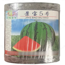 景宝5号西瓜种子中早熟高产大红瓤薄皮耐裂大西瓜种子