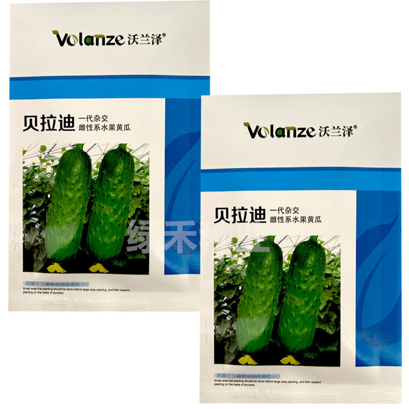 贝拉迪雌性水果黄瓜种子旱黄瓜籽瓜码密连续结瓜多
