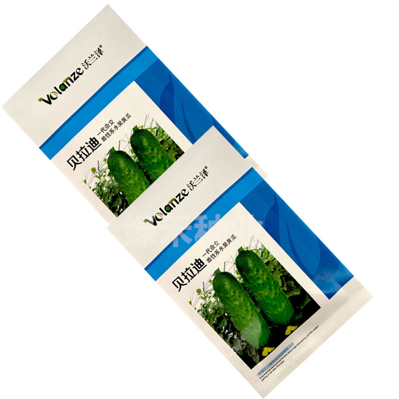 贝拉迪雌性水果黄瓜种子旱黄瓜籽瓜码密连续结瓜多