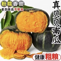 精品贝贝南瓜大量供应对接市场/商超/电商/社区团购