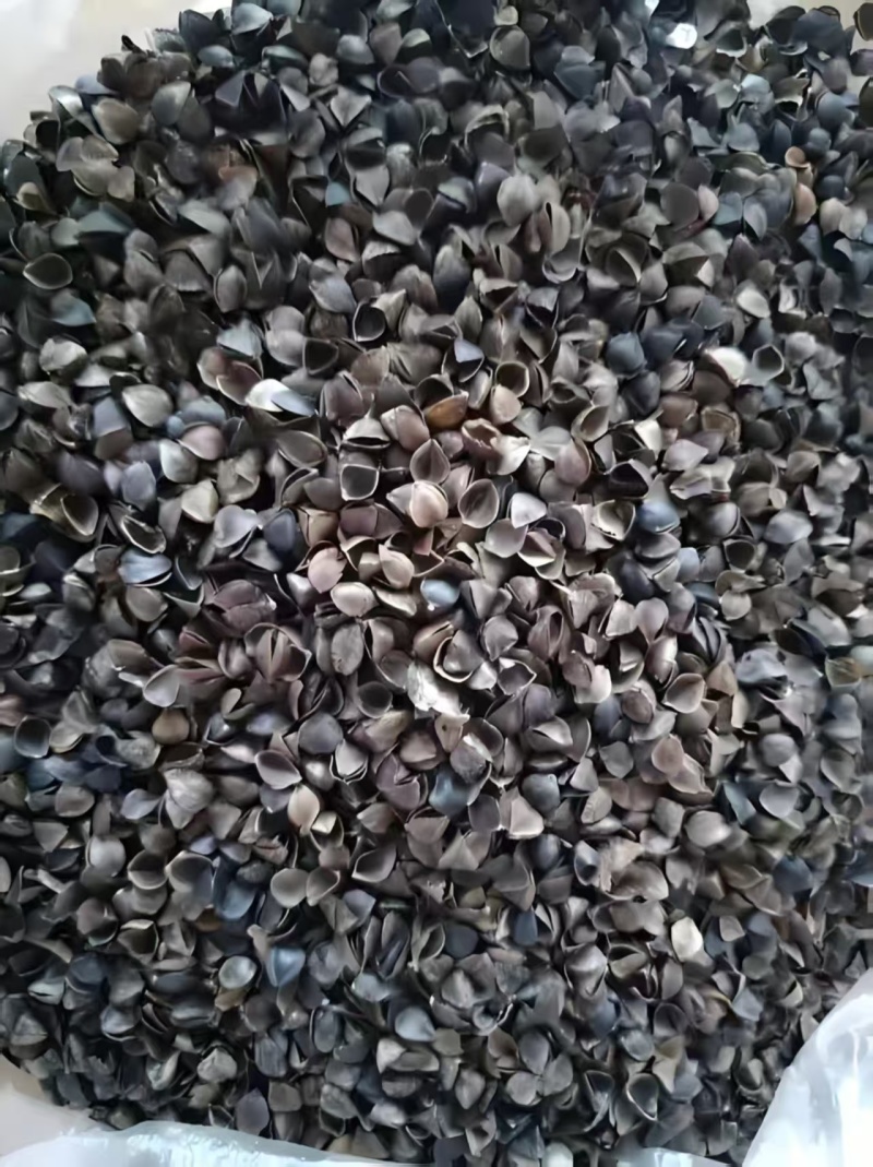 荞麦皮荞麦壳无尘无土无味无虫货源充足欢迎联系