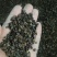 荞麦皮荞麦壳无尘无土无味无虫货源充足欢迎联系