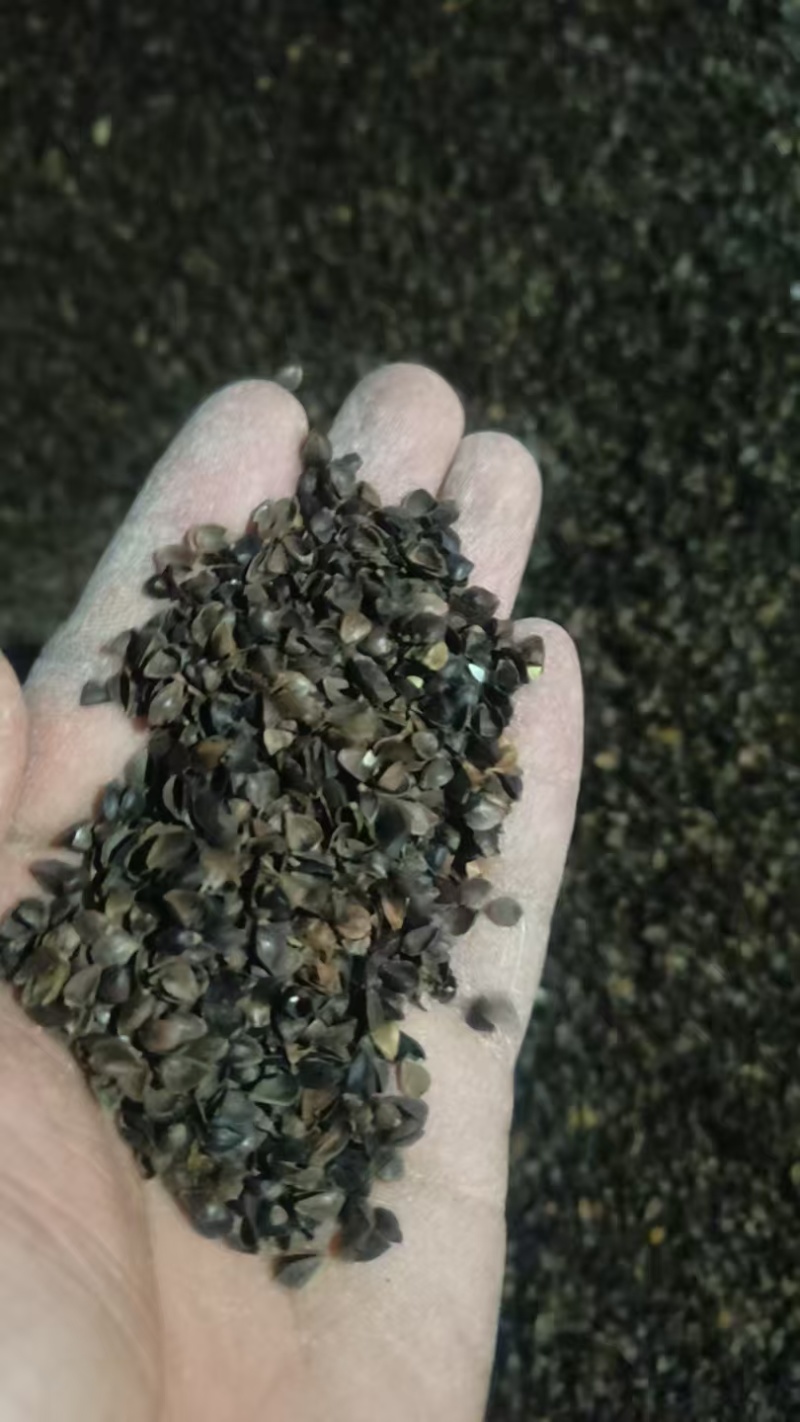 荞麦皮荞麦壳无尘无土无味无虫货源充足欢迎联系