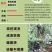 新品种浙江嵊州桃形李苗嫁接红心李子树果树苗对版包活