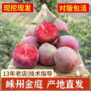 新品种浙江嵊州桃形李苗嫁接红心李子树果树苗对版包活
