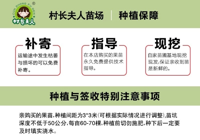正宗浙江萧山青梅苗长农17酸梅子树苗假一赔十产地直发