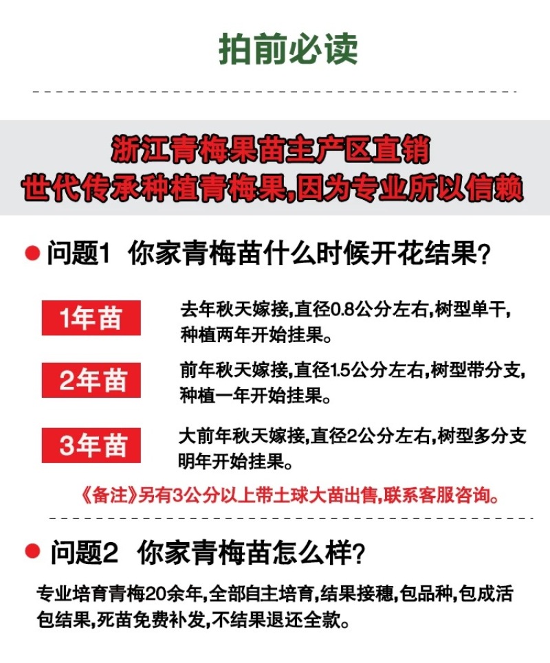 正宗浙江萧山青梅苗长农17酸梅子树苗假一赔十产地直发