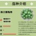 正宗浙江萧山青梅苗长农17酸梅子树苗假一赔十产地直发