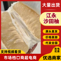 江永沙田柚对接电商市场商超一手货源保质保量可视频