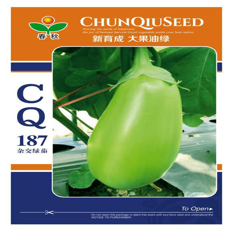 春秋CQ187绿罐茄种子杂交油绿茄子种子中早熟大果油绿高