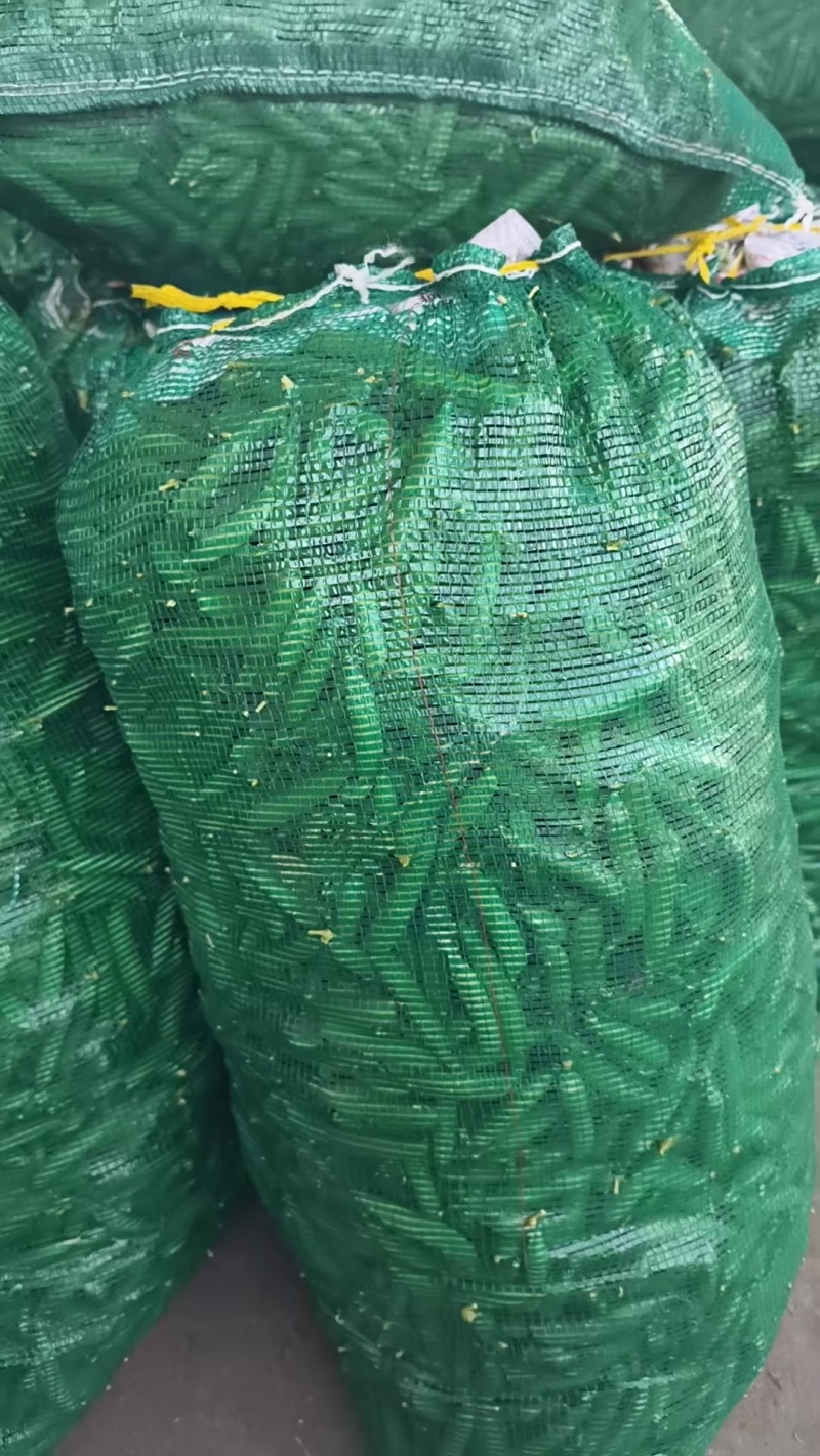 米易豌豆颜色翠绿粒粒饱满按需分拣打包提供网袋纸箱袋子等