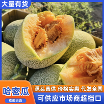 晓蜜哈密瓜（一件代发）电商直播社区团购档口商超可对接