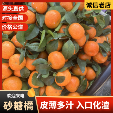 武鸣区砂糖橘商超电商社区团购欢迎老板对接