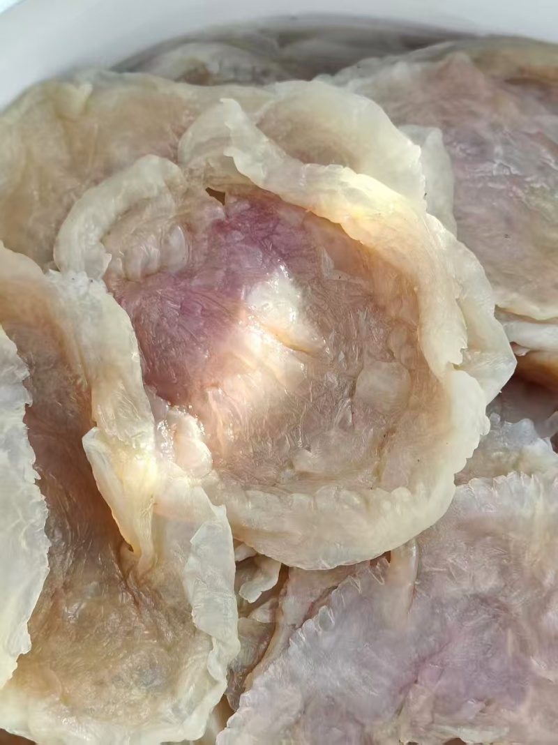 【优质】广西北部湾产优质白花丝一手货源保质保量全国可发