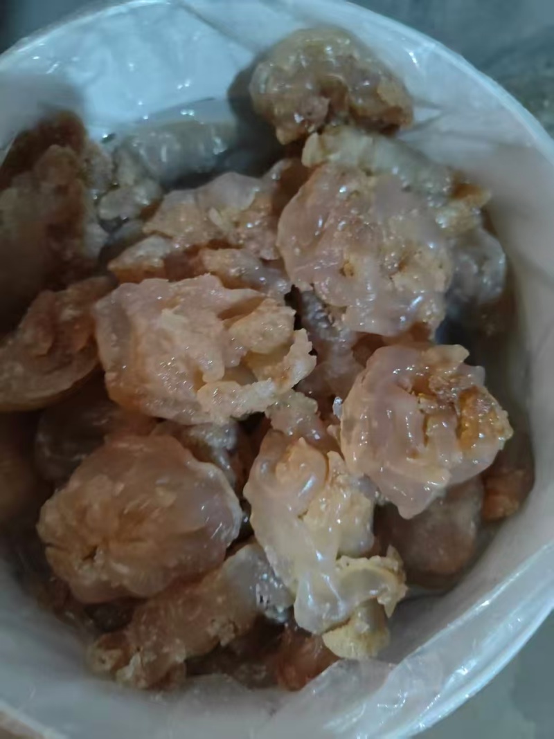 【优质】广西北部湾产优质白花丝一手货源保质保量全国可发