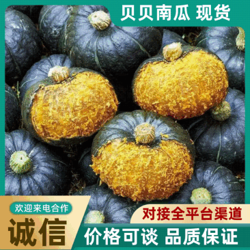 贝贝南瓜粉糯香甜，代购代发，保质保量，诚信经营，订单回购
