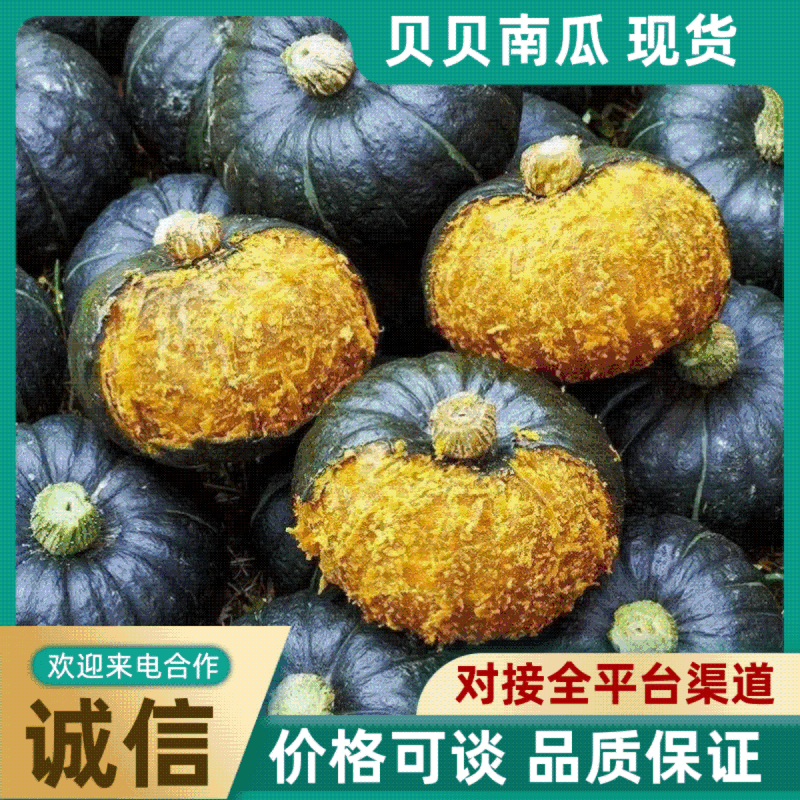 贝贝南瓜粉糯香甜，代购代发，保质保量，诚信经营，订单回购