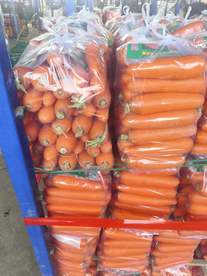 胡萝卜【精品水洗三红胡萝卜】开封产地对接批发采购