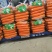 胡萝卜【精品水洗三红胡萝卜】开封产地对接批发采购