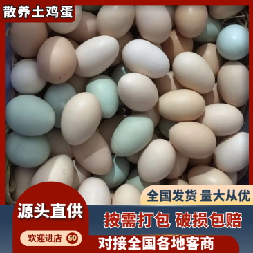 土鸡蛋老人小孩儿孕妇都能吃可批发可成箱销售现捡现双色