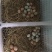 潜江柴鸡蛋一手货源全国接单提供纸箱蛋托泡沫箱垫稻壳接餐饮