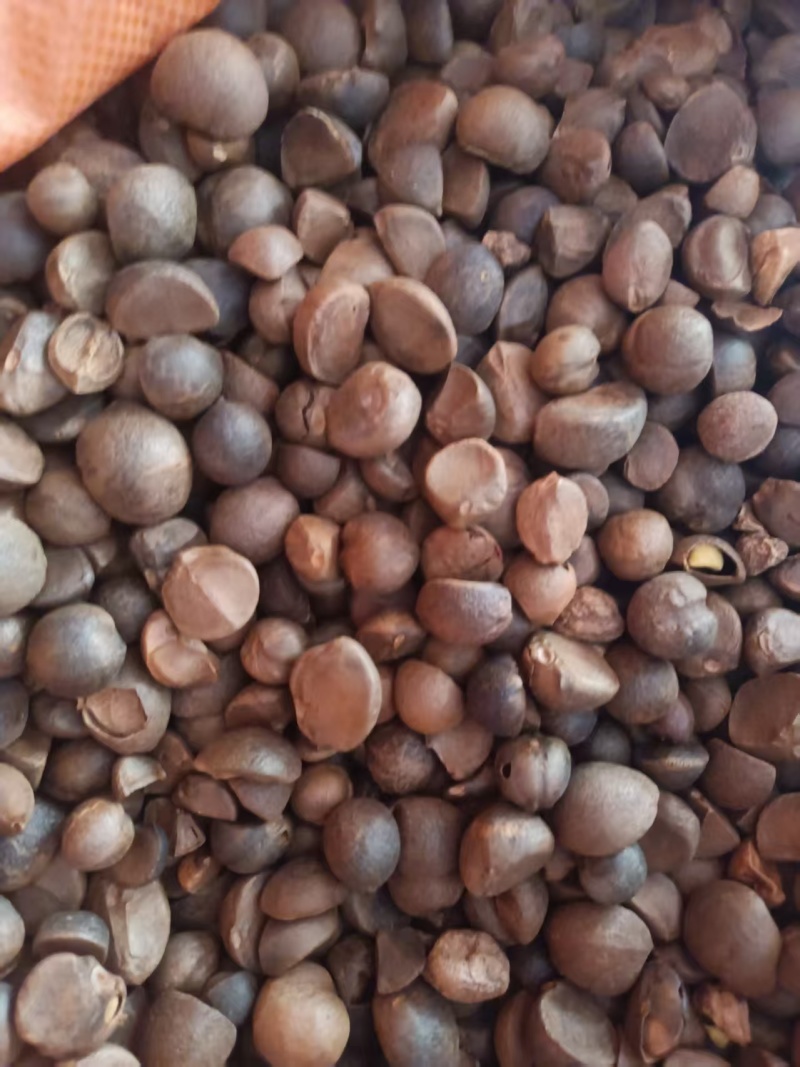 山茶油厂家直销，规格齐全，品质保证，可视频看货代发全国