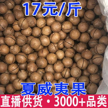 夏威夷果夏威夷果干果夏威夷果电商款夏威夷果批发