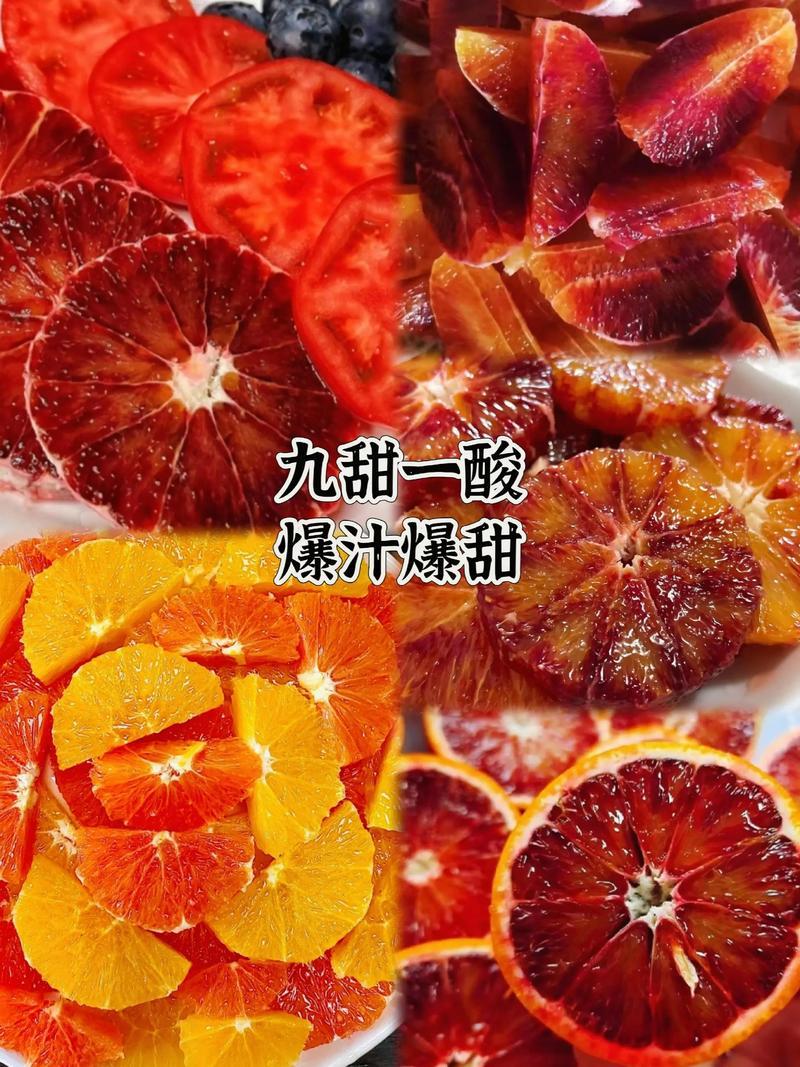 四川血橙塔罗科血橙产地直发一手货源全国发货