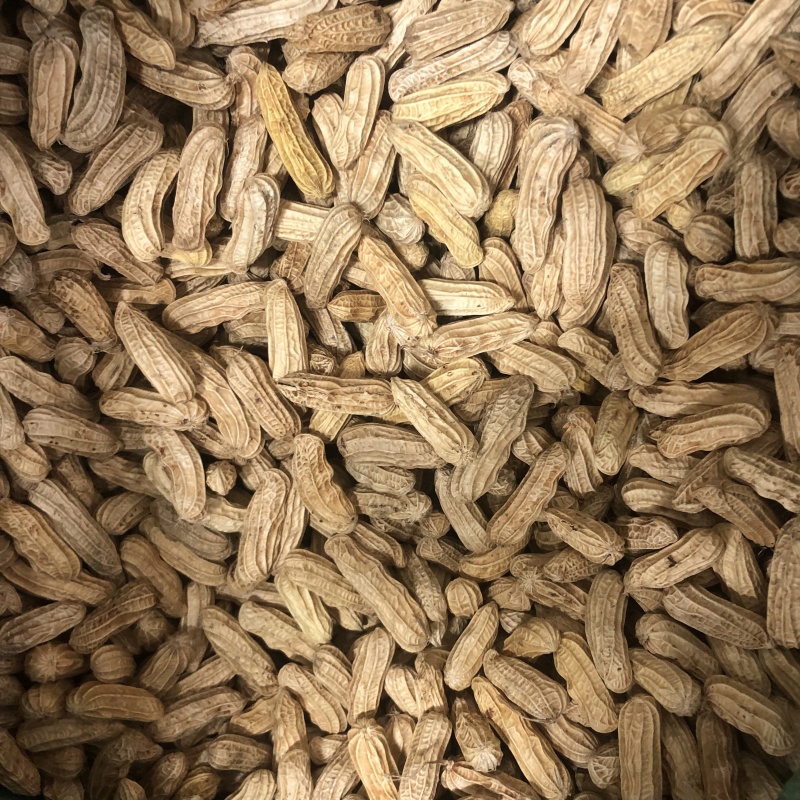 七彩花生云南特产带壳晒干新货花生粒熟原味咸干七彩彩花生