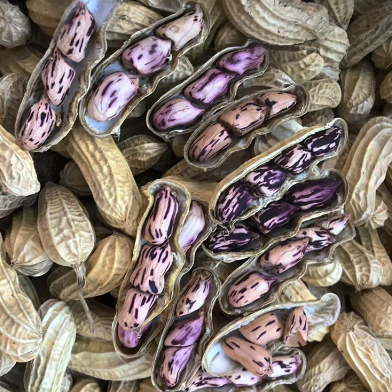 七彩花生云南特产带壳晒干新货花生粒熟原味咸干七彩彩花生