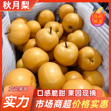 秋月梨口感好质量有保证诚信第一位脆甜保证客户售后