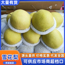 【精品】雪花梨，箱装，筐装箱，质量有保证，诚信经营第一位