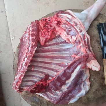 黑山羊肉大量现货供应，自家养殖，常年供应全国包邮
