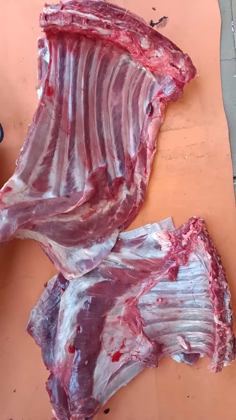 黑山羊肉大量现货供应，自家养殖，常年供应全国包邮