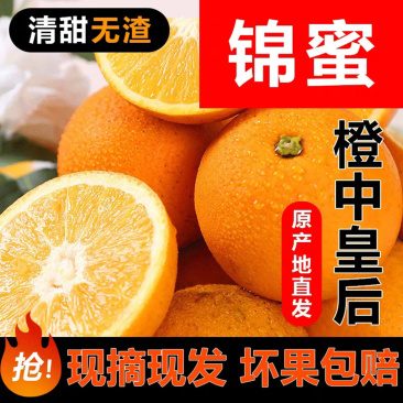 【麻阳锦蜜冰糖橙甜橙】脆嫩多汁非赣南脐橙9斤新鲜水果一件
