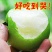 【砀山酥梨】老树脆甜多汁非秋月梨新鲜水果9斤代发